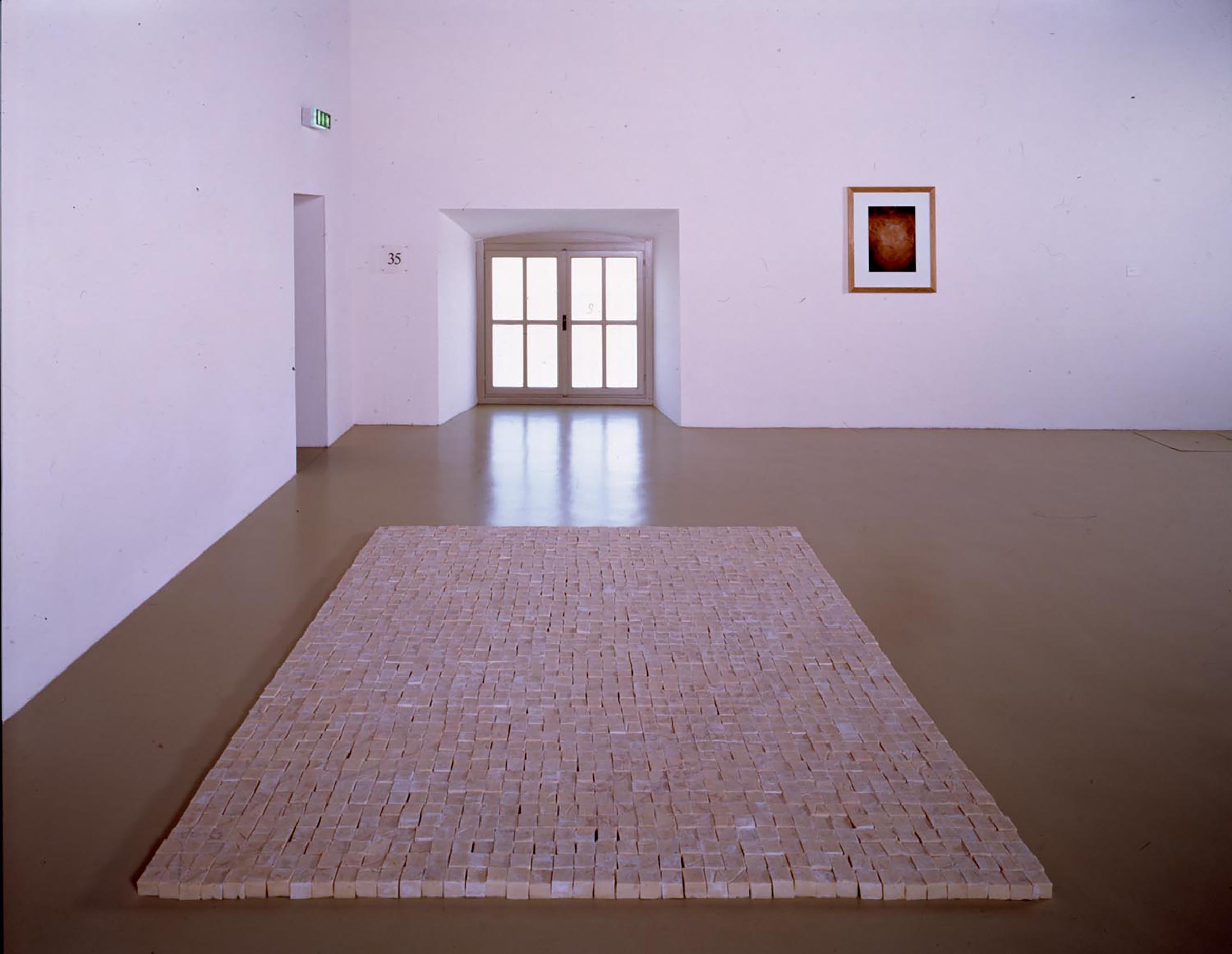 Mona Hatoum, Present Tense, 1996 and Van Goghu0027s Back, 1995